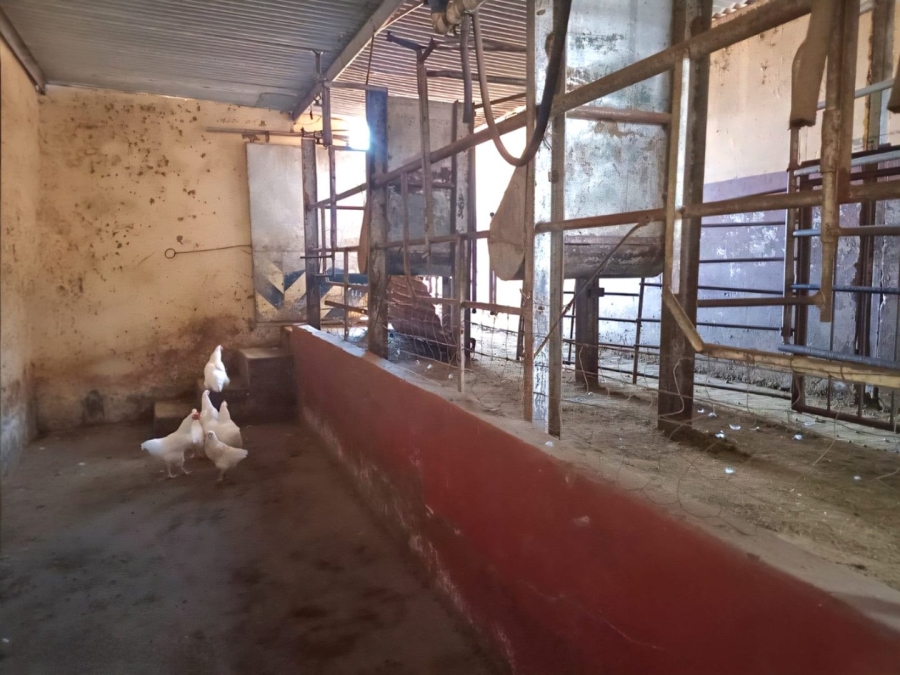  Bedroom Property for Sale in Bloemhof North West